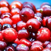 pile of wet red and purple cranberries