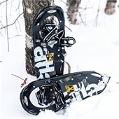 Snowshoes in the snow