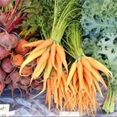 Farmer Market Root Vegetables