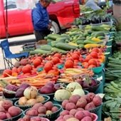 Variety of colorful vegetables being sold on table