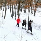 snowshoes explore forest trail
