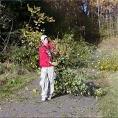 volunteer carries a load of buckthorn branches away from the forest