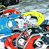 Snowshoes