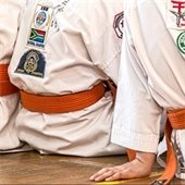 Karate kids sitting with orange belts